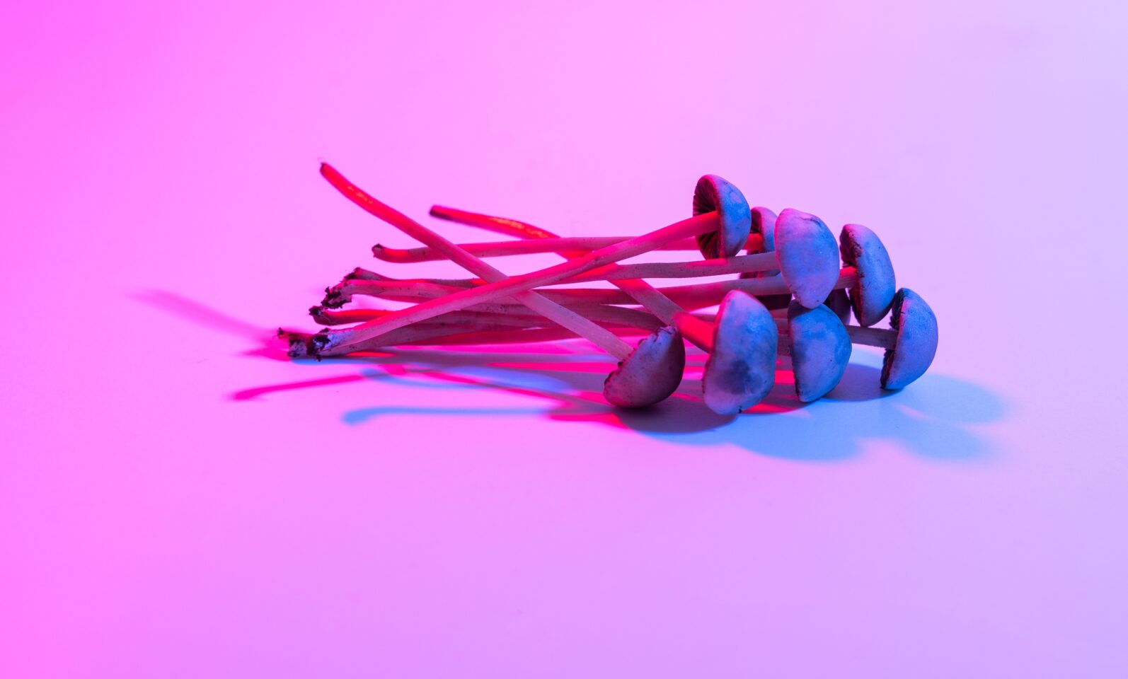 Psilocybin Mental Health Therapy ‘Not Associated’ With Paranoia Risk, Study Shows