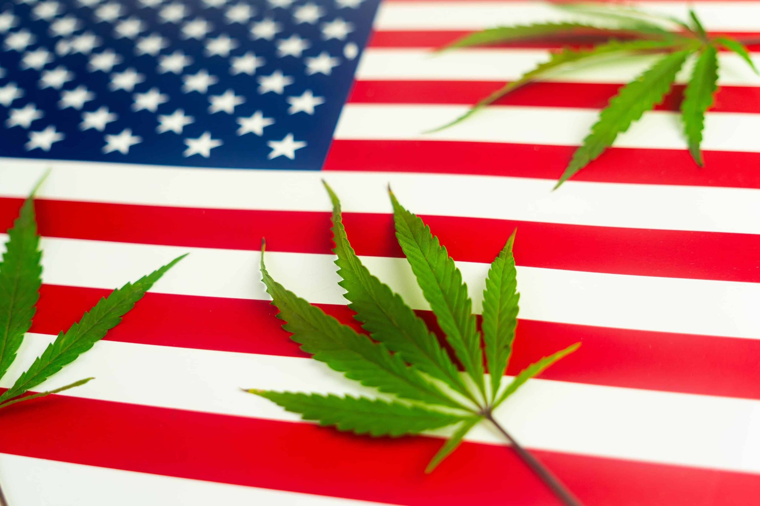 Hemp Clothing Market to Hit $23B by 2031, Report Predicts