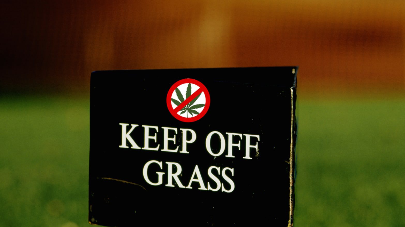 Anti-Pot Org Claims DEA Administrator Was Not Included in Rescheduling Decision