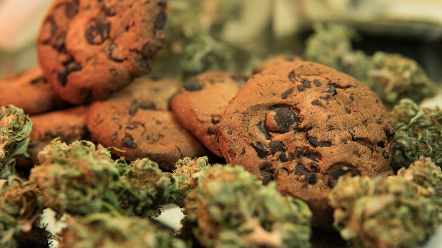 Unveiling the World of THC Edibles