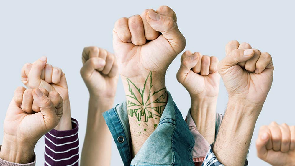 Catalysts for Change: The Impact of Cannabis Activism on Public Opinion and Policy