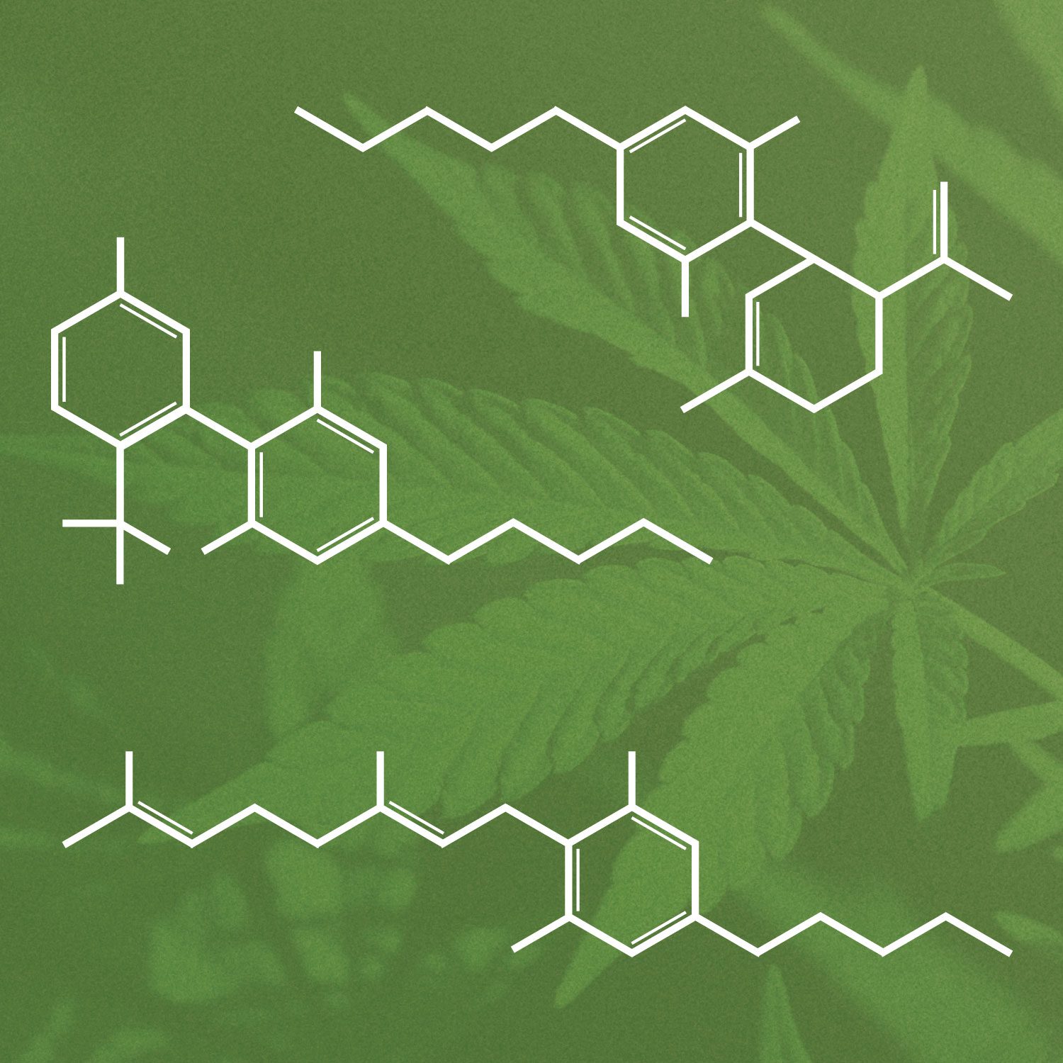 The Science of Cannabis: How Cannabinoids Can Support Cancer Treatment