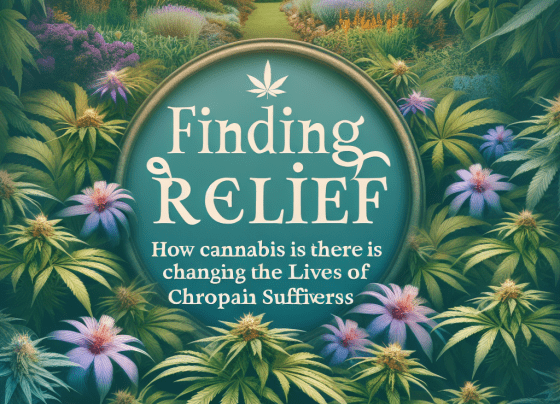 Finding Relief: How Cannabis is Changing the Lives of Chronic Pain Sufferers