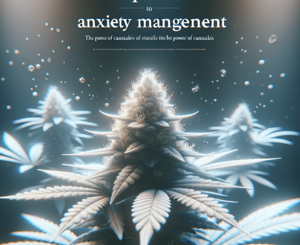From Pain Relief to Anxiety Management The Power of Cannabis
