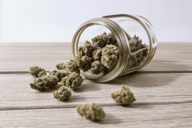 German Legalization Study Tracks Real Time Cannabis Use Patterns