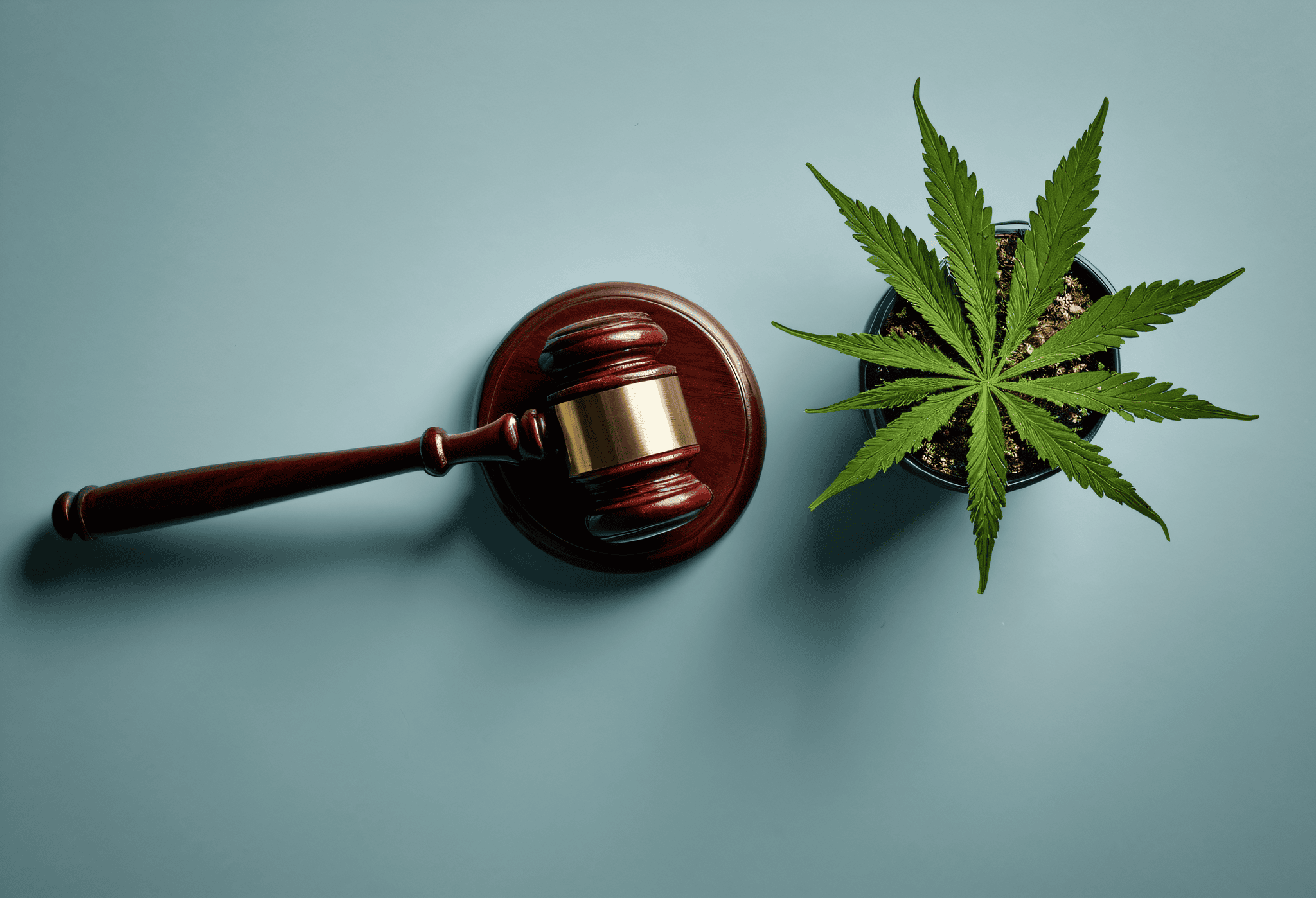 Healey And Republican Rival Align Against Massachusetts Cannabis Rollback Measure